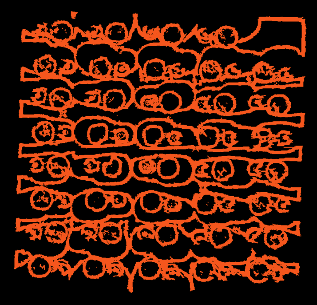 CalculateEdgeOrderOld 4