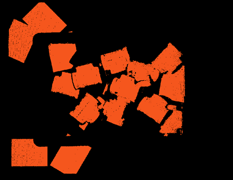 DynamicRoiGenerate 3