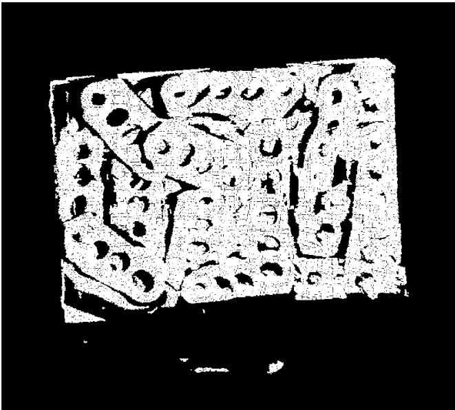 point cloud input